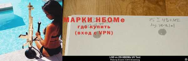 гидра Богородск