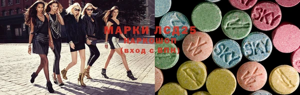 гашик Сосновка